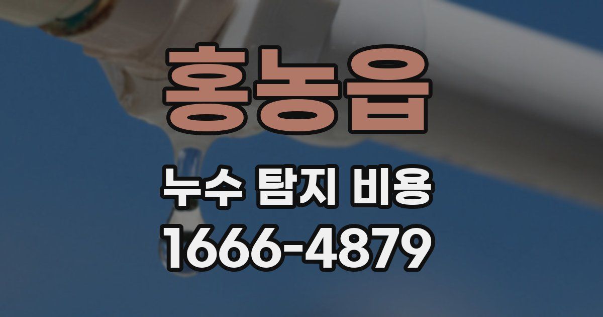 홍농읍 누수 탐지 비용