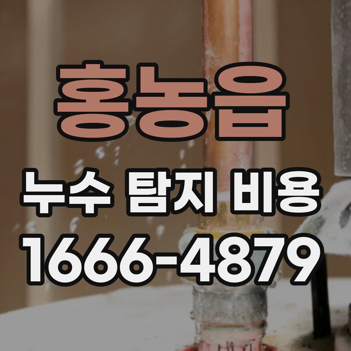 홍농읍 누수 탐지 비용