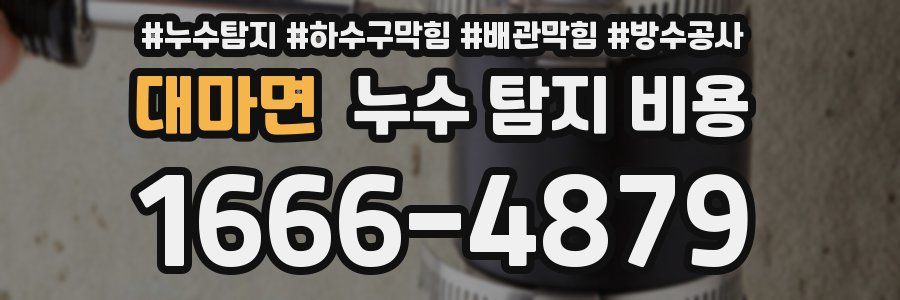 대마면 누수 탐지 비용
