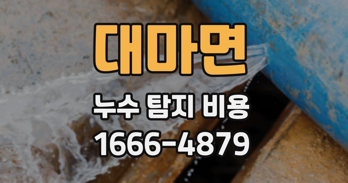 대마면 누수 탐지 비용