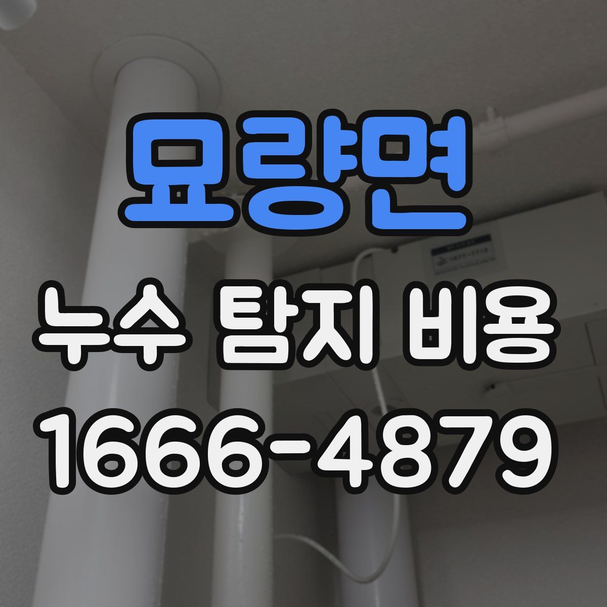 묘량면 누수 탐지 비용