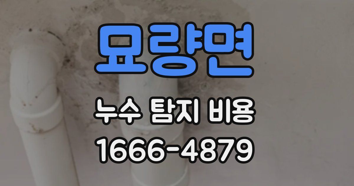묘량면 누수 탐지 비용