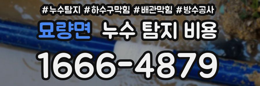 묘량면 누수 탐지 비용
