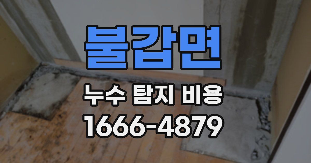 불갑면 누수 탐지 비용