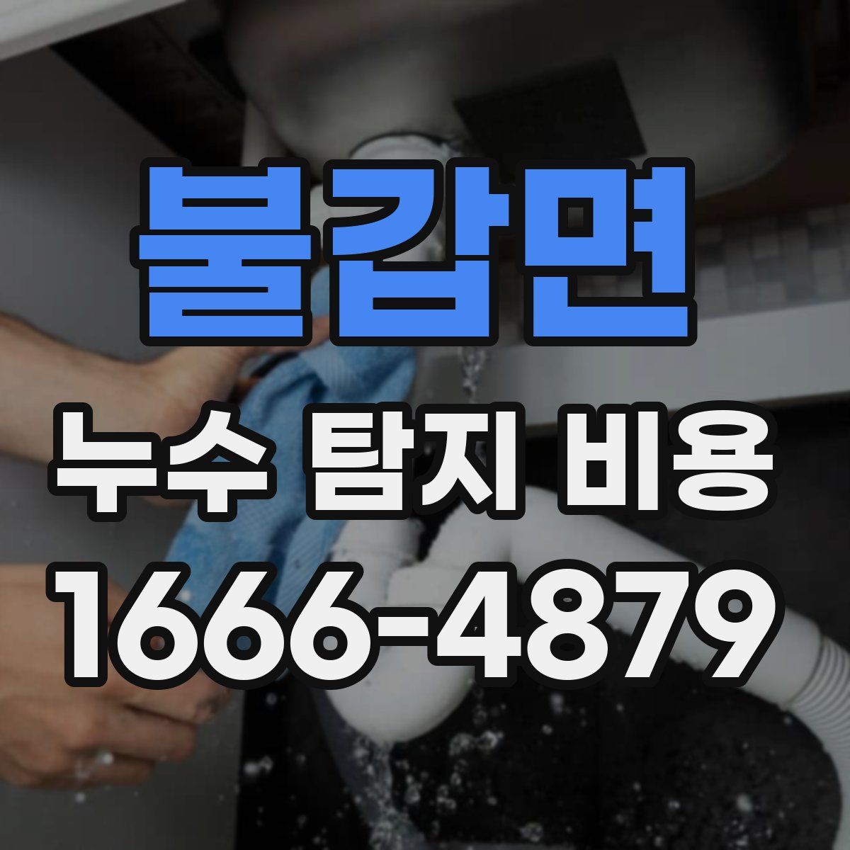 불갑면 누수 탐지 비용