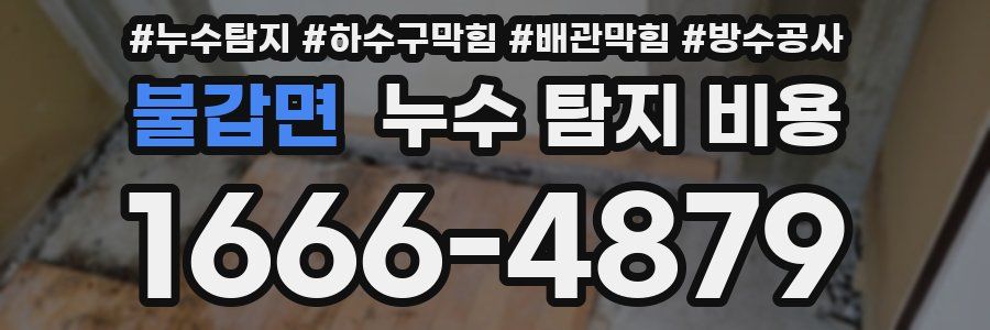 불갑면 누수 탐지 비용