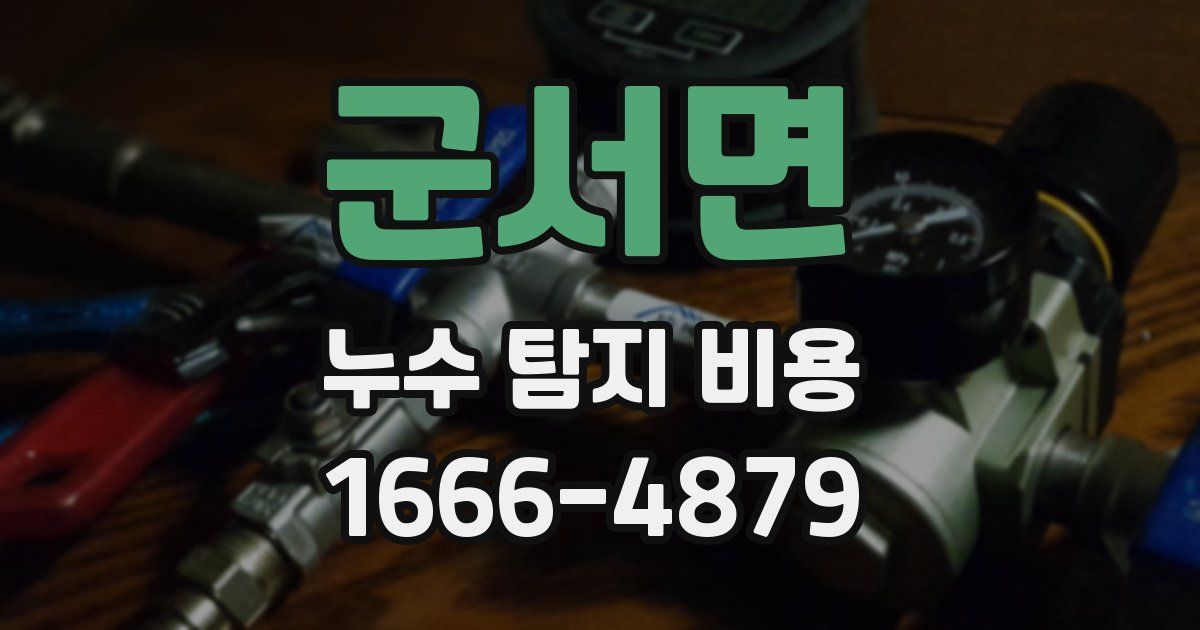 군서면 누수 탐지 비용