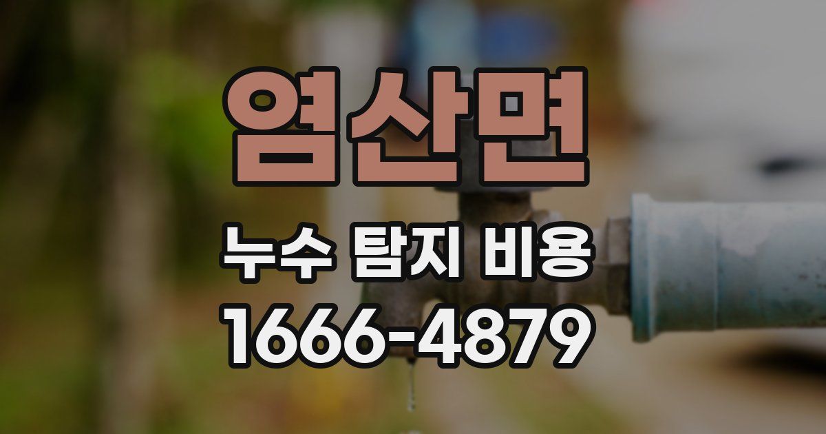 염산면 누수 탐지 비용