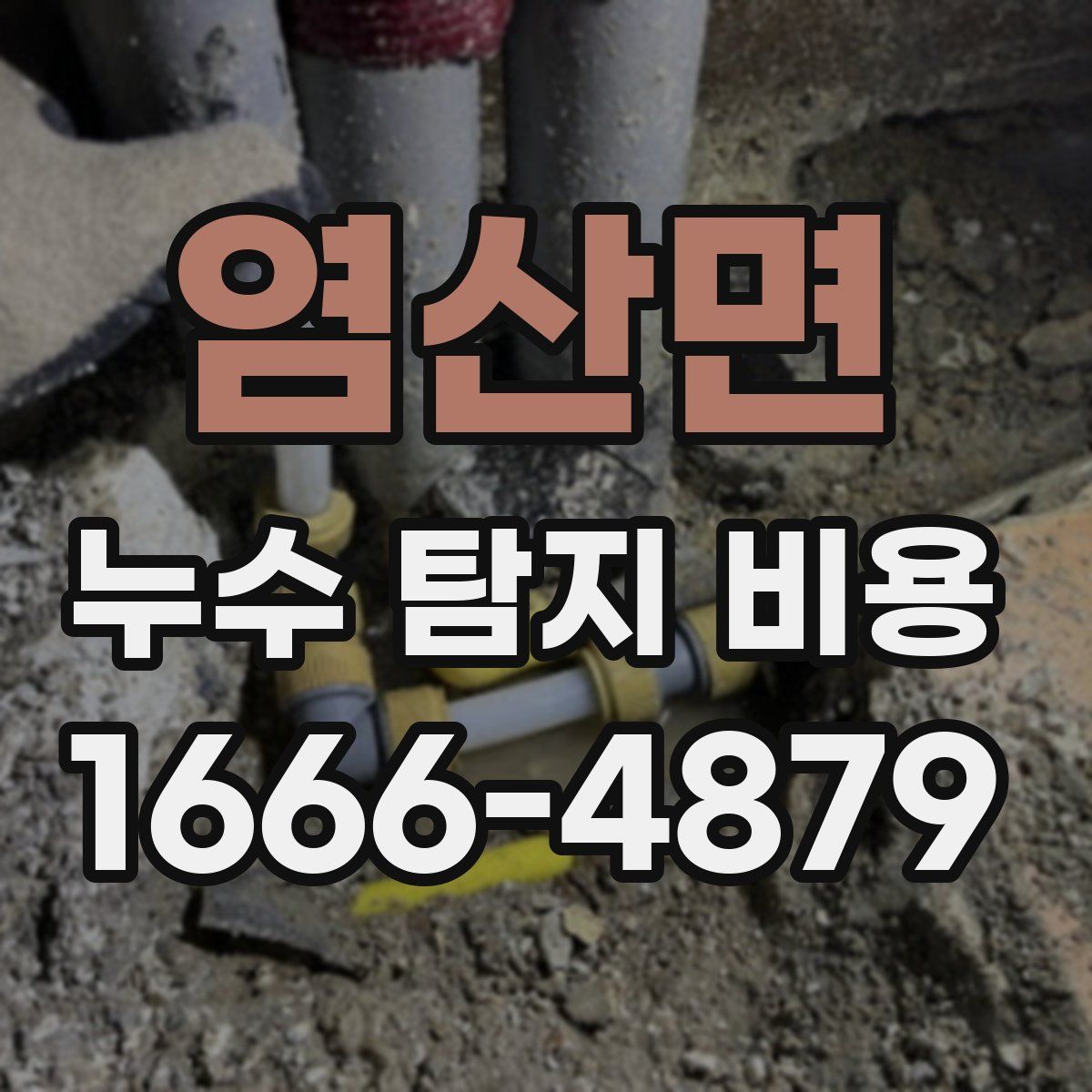 염산면 누수 탐지 비용