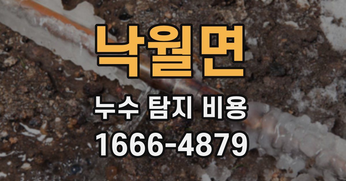 낙월면 누수 탐지 비용