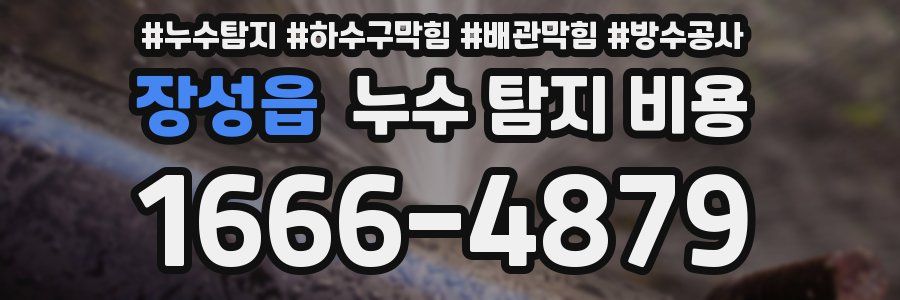 장성읍 누수 탐지 비용