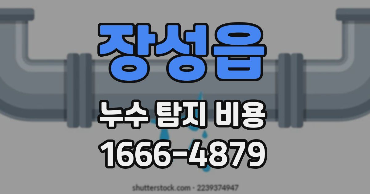 장성읍 누수 탐지 비용