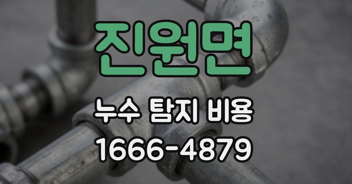 진원면 누수 탐지 비용