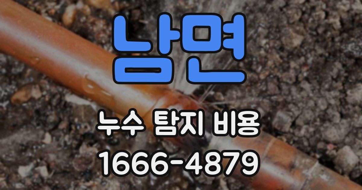 남면 누수 탐지 비용