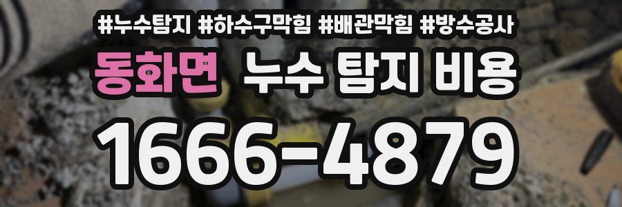 동화면 누수 탐지 비용