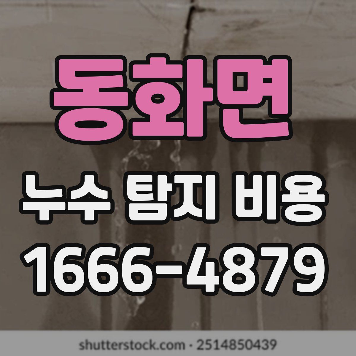 동화면 누수 탐지 비용