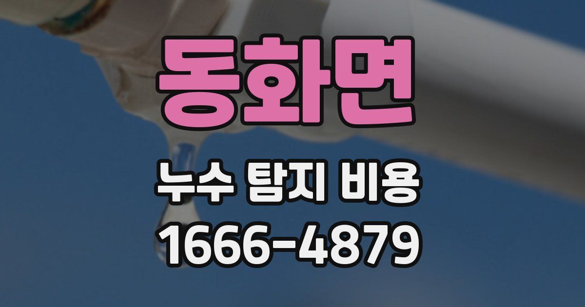 동화면 누수 탐지 비용