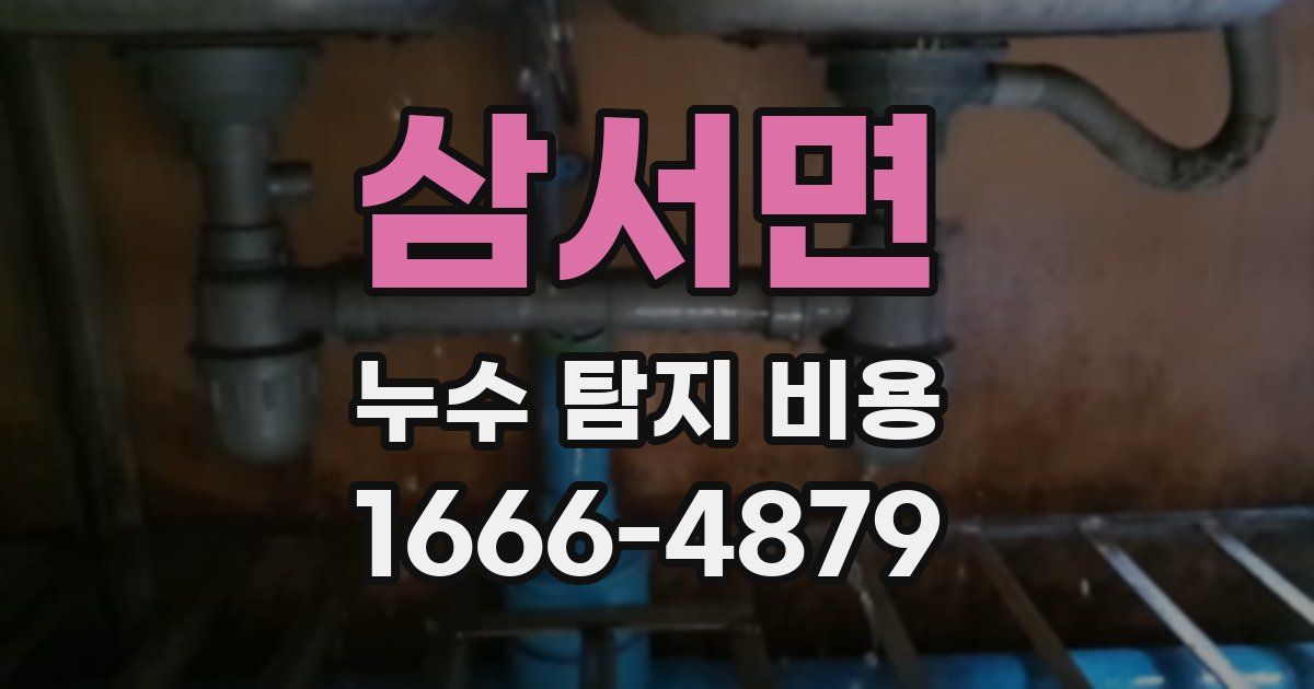 삼서면 누수 탐지 비용
