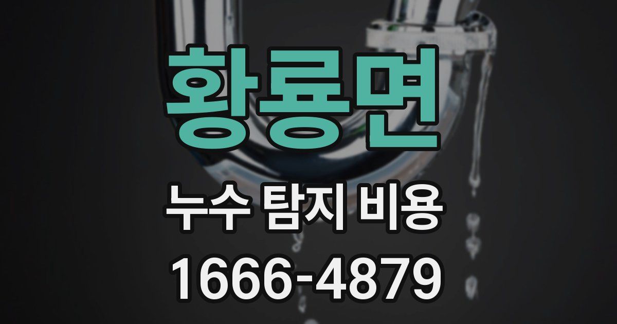 황룡면 누수 탐지 비용
