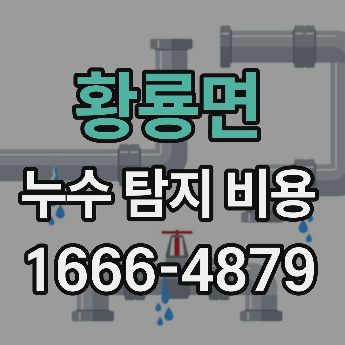 황룡면 누수 탐지 비용