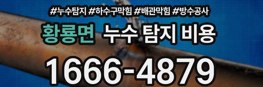 황룡면 누수 탐지 비용