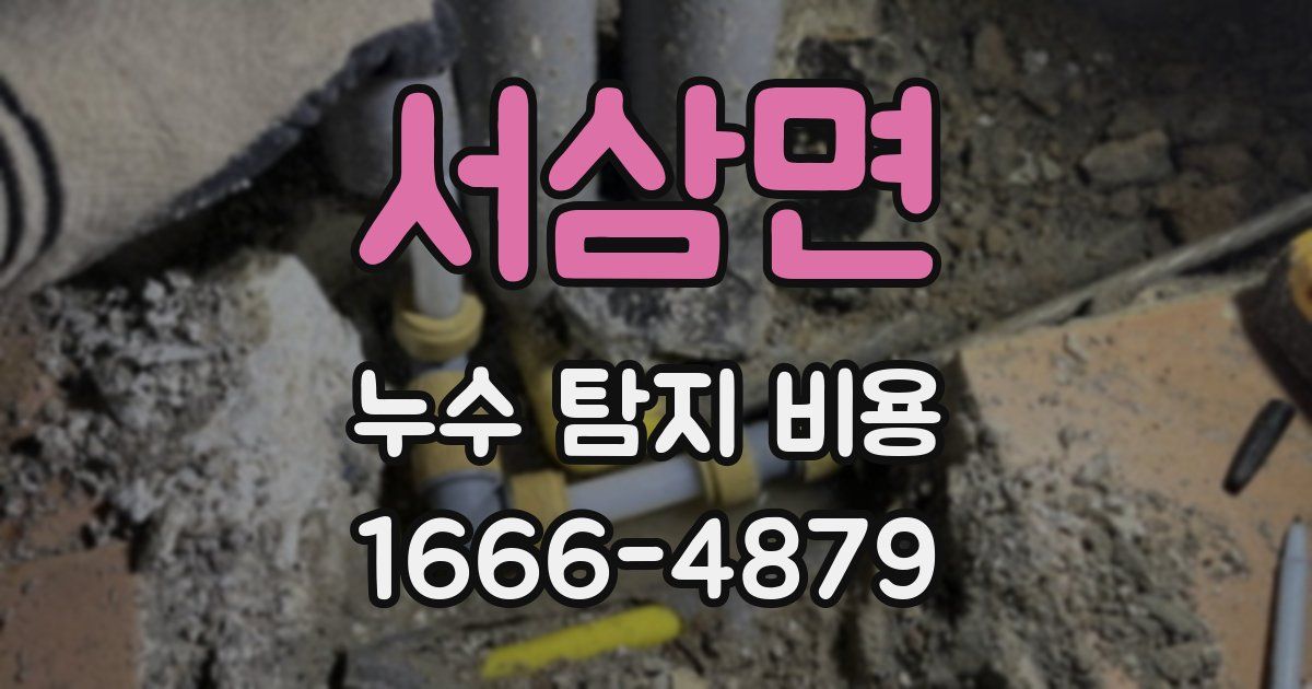 서삼면 누수 탐지 비용