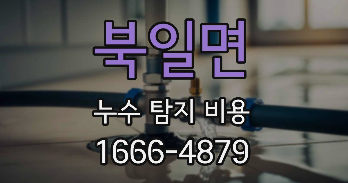 북일면 누수 탐지 비용