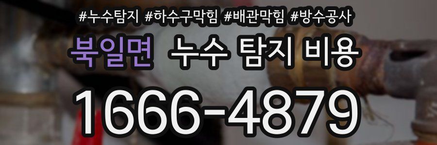 북일면 누수 탐지 비용