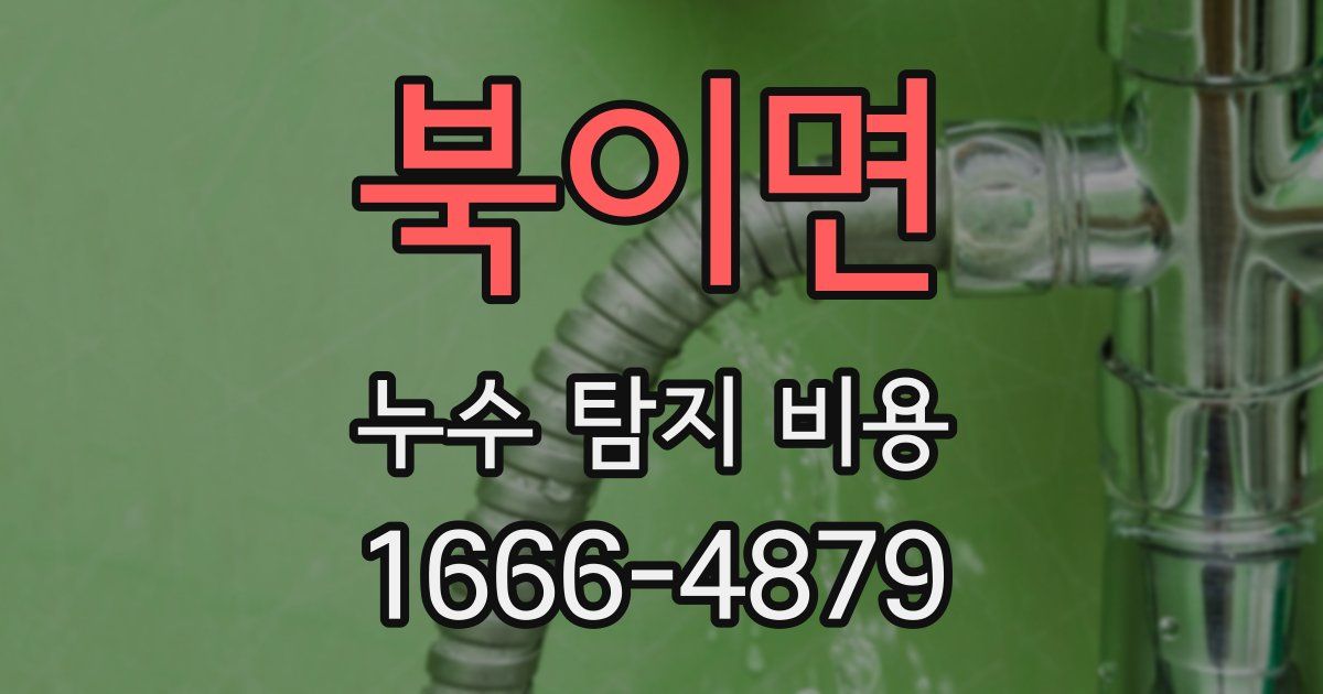 북이면 누수 탐지 비용