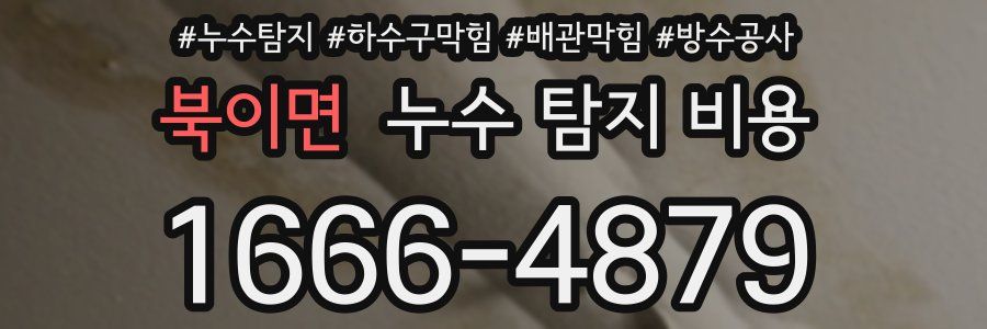 북이면 누수 탐지 비용