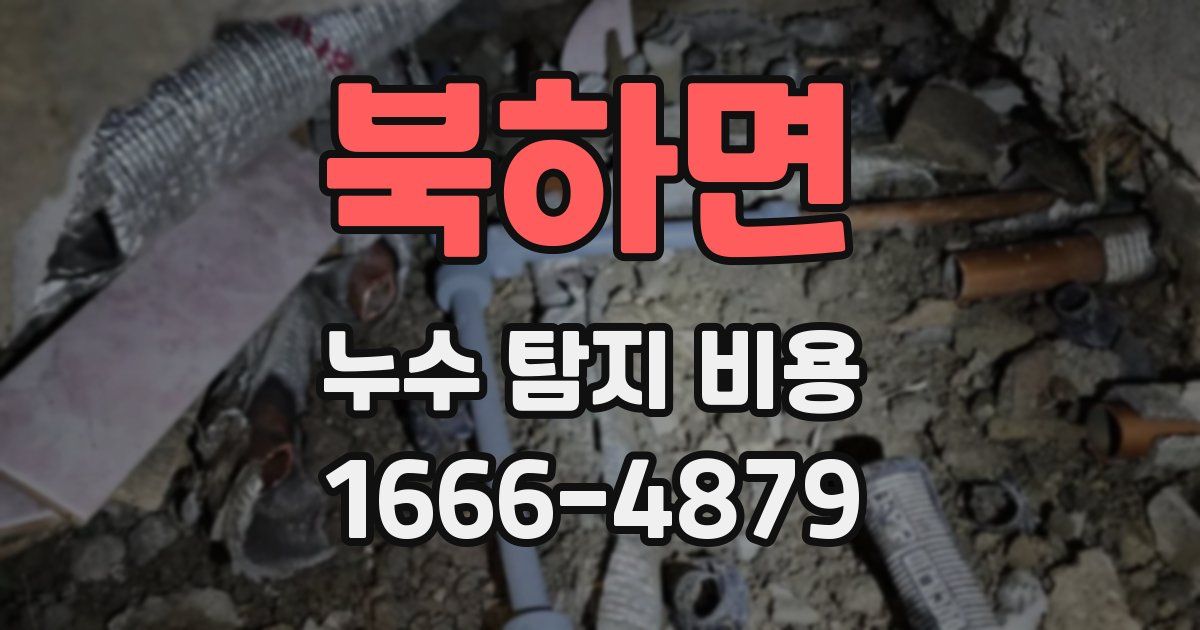 북하면 누수 탐지 비용
