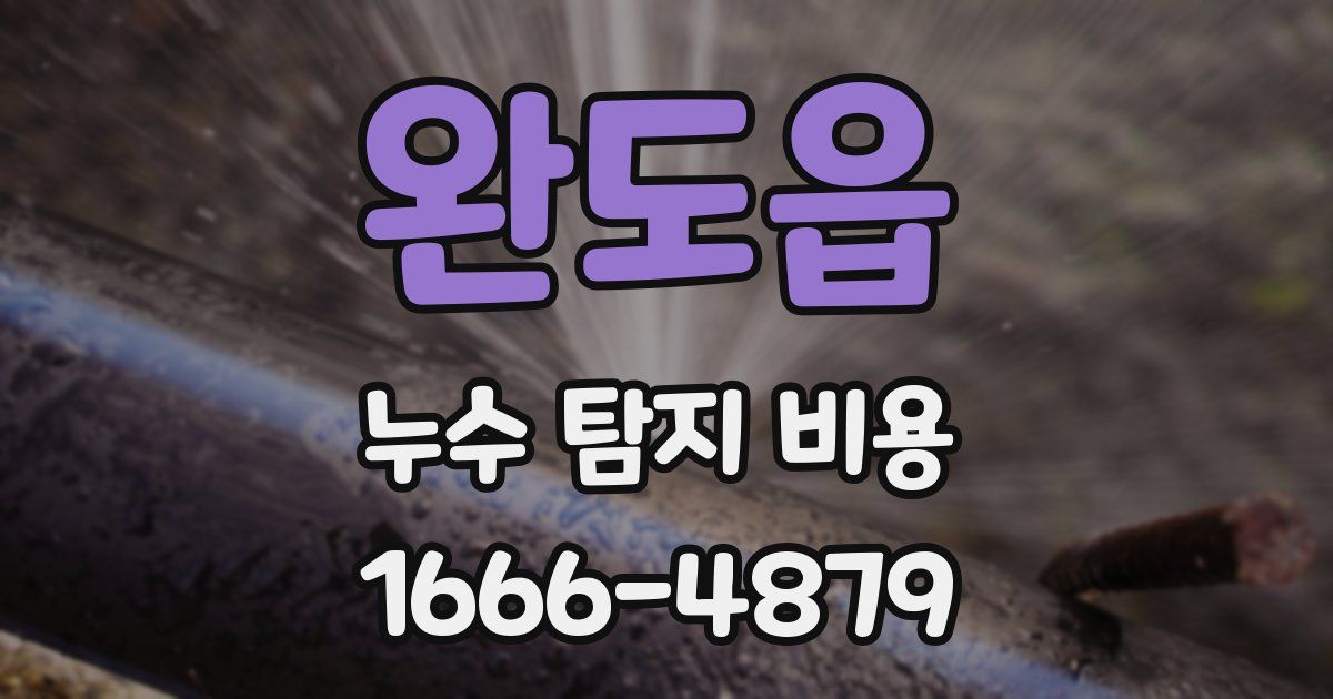 완도읍 누수 탐지 비용