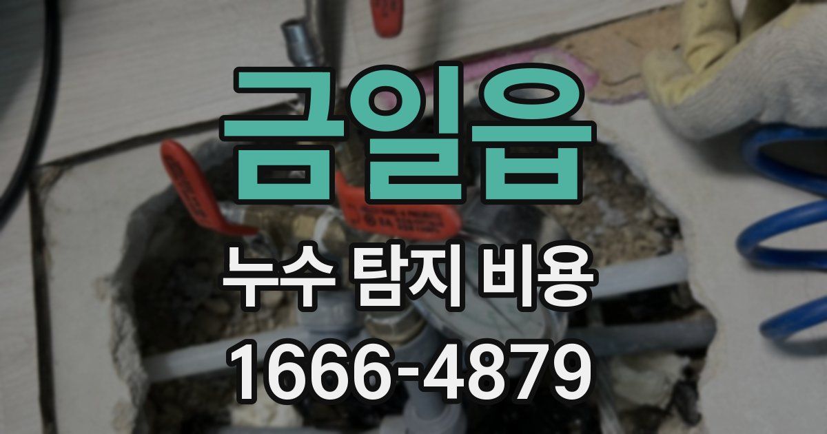 금일읍 누수 탐지 비용