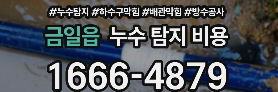 금일읍 누수 탐지 비용
