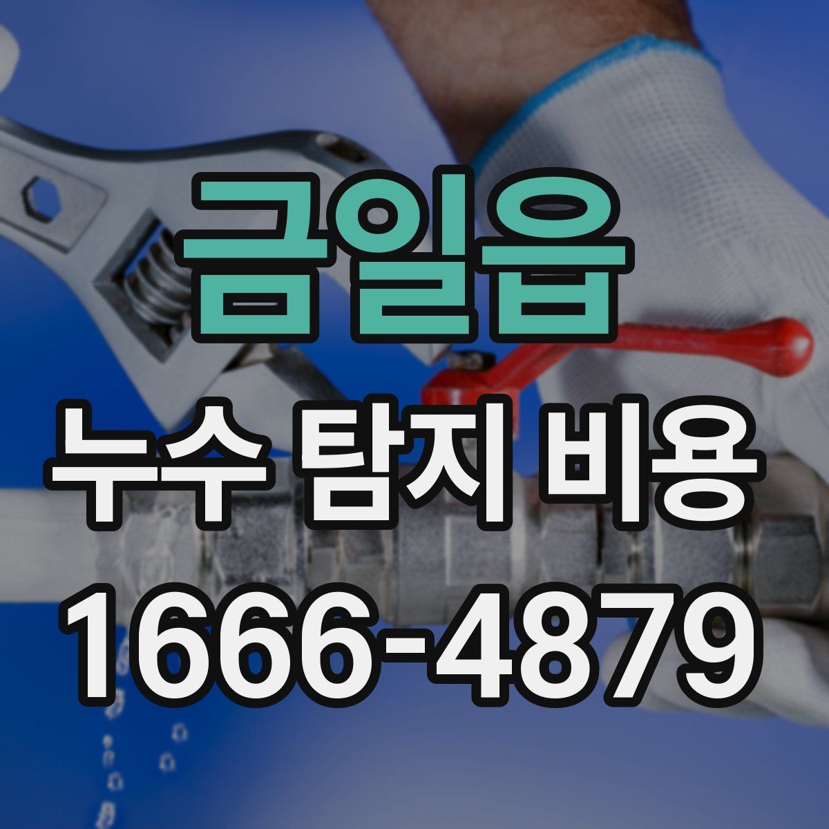금일읍 누수 탐지 비용