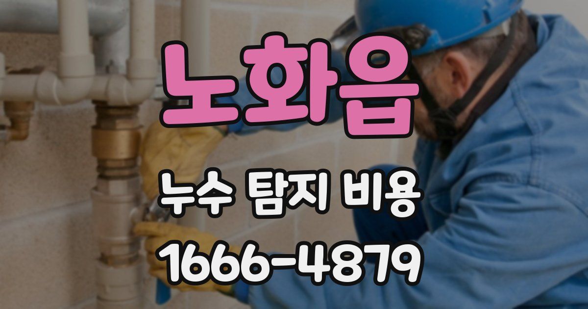 노화읍 누수 탐지 비용