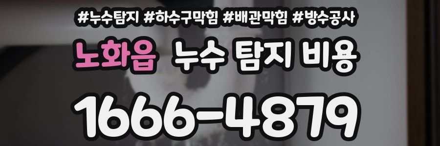 노화읍 누수 탐지 비용