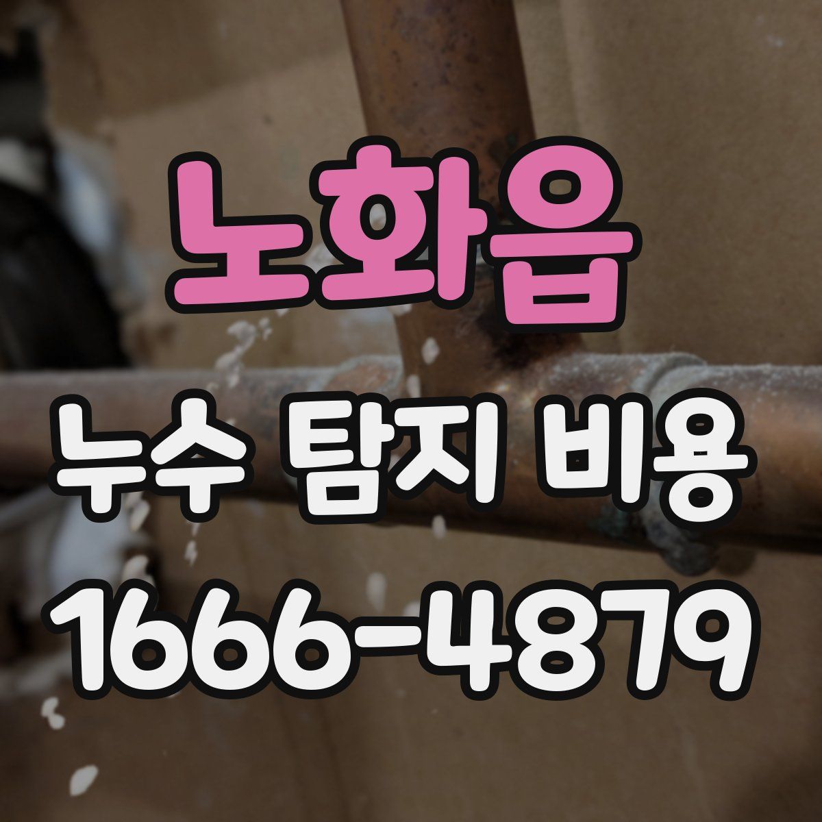 노화읍 누수 탐지 비용