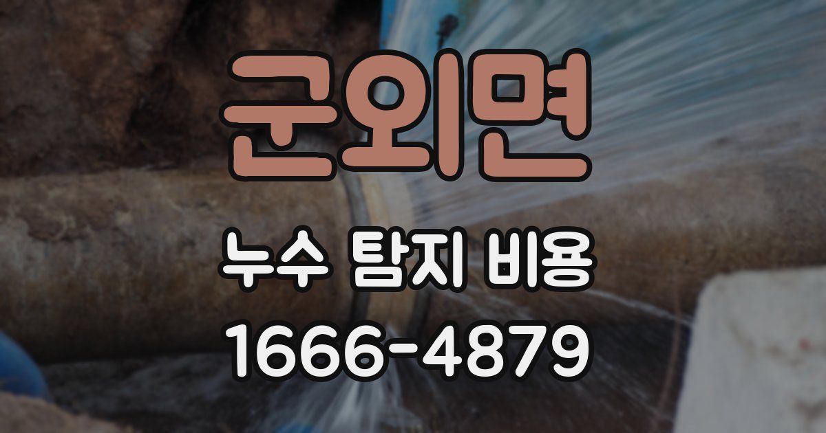 군외면 누수 탐지 비용