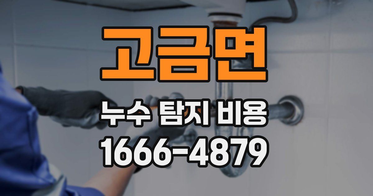 고금면 누수 탐지 비용