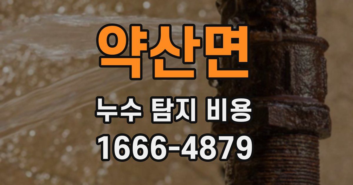 약산면 누수 탐지 비용