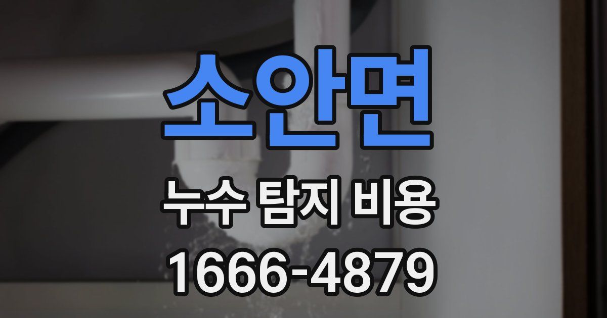 소안면 누수 탐지 비용