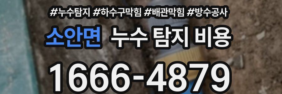소안면 누수 탐지 비용