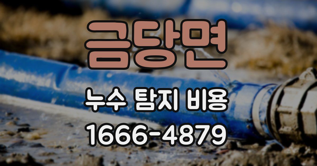 금당면 누수 탐지 비용