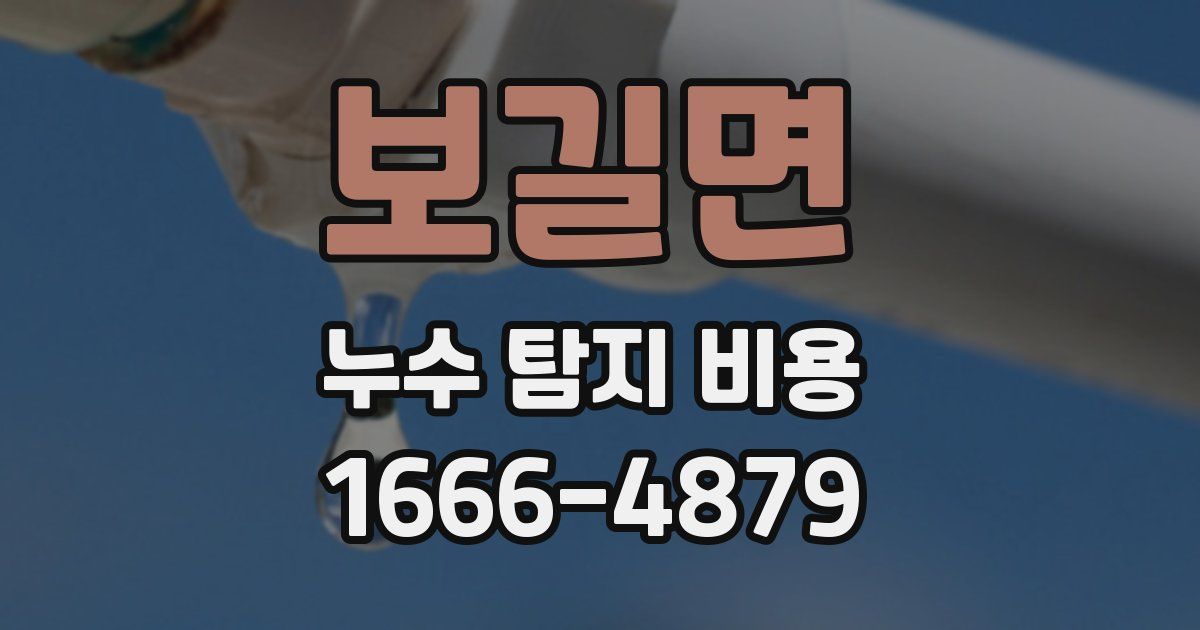 보길면 누수 탐지 비용