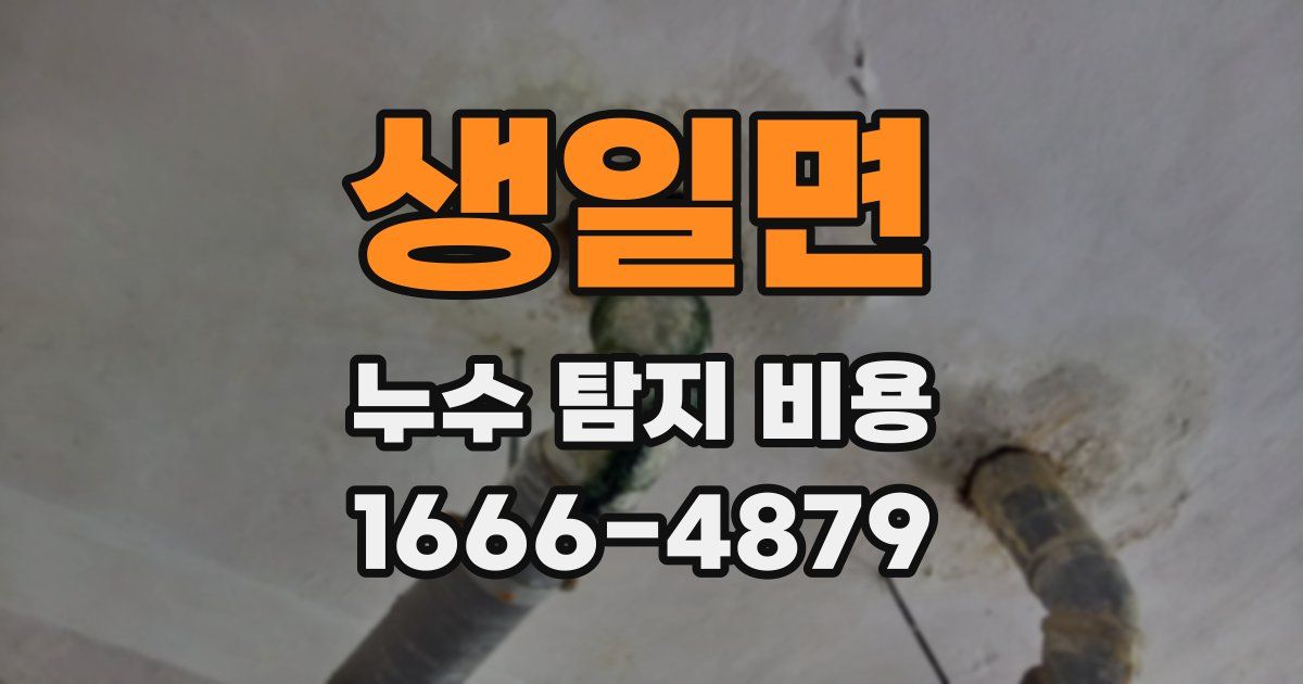 생일면 누수 탐지 비용