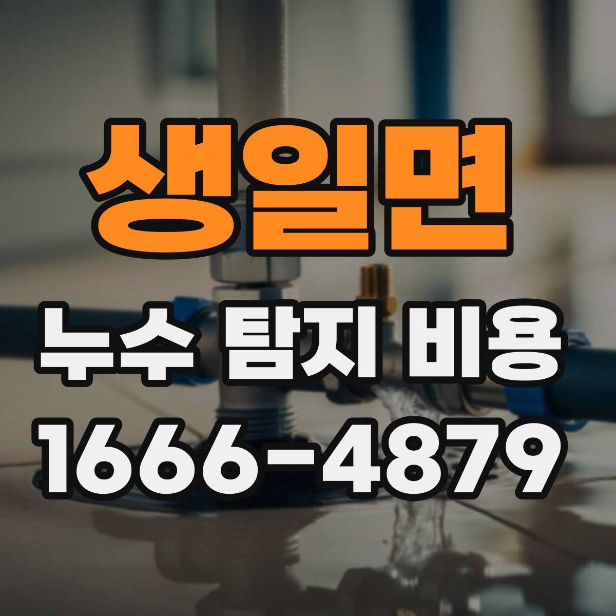 생일면 누수 탐지 비용
