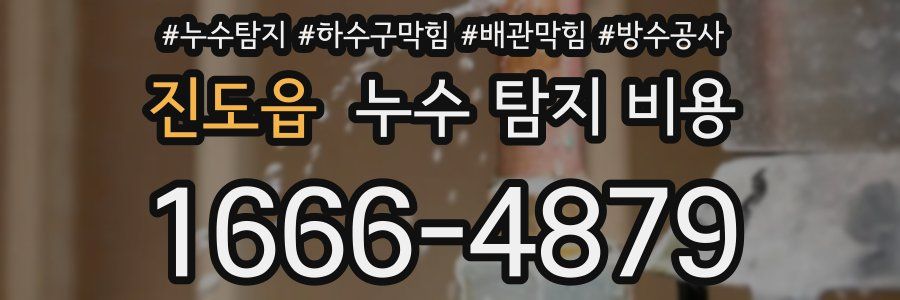 진도읍 누수 탐지 비용