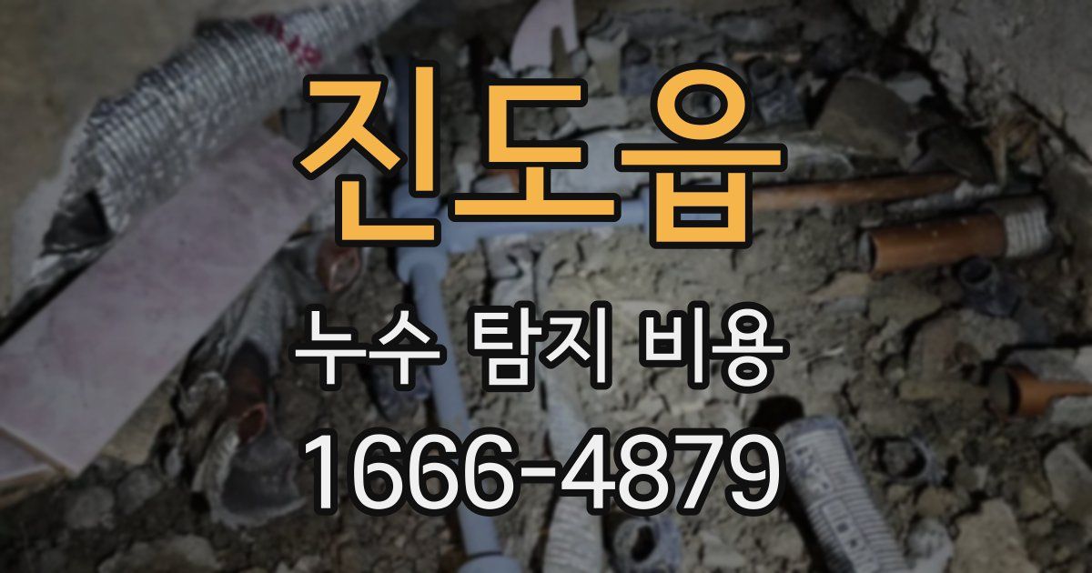 진도읍 누수 탐지 비용