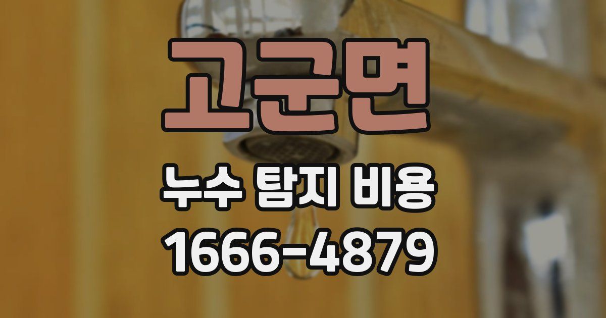 고군면 누수 탐지 비용